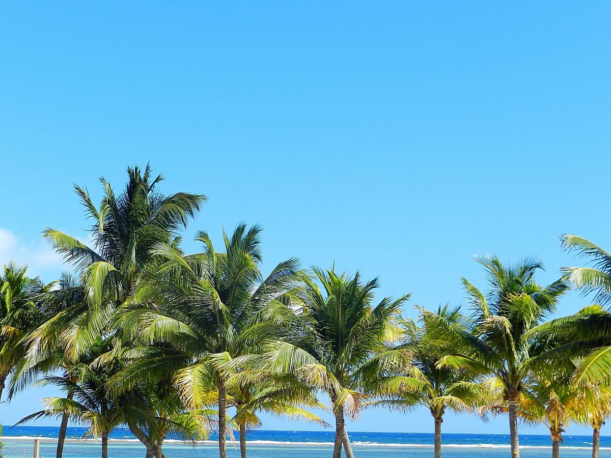 Palmeras De Mahahual Cabanas Eksteriør billede