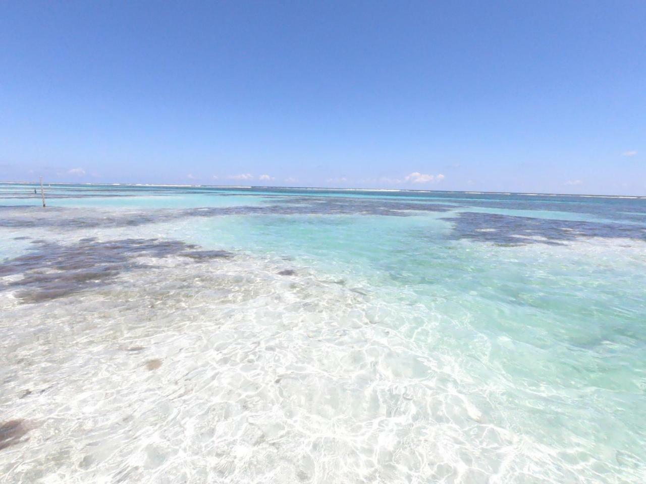 Palmeras De Mahahual Cabanas Eksteriør billede